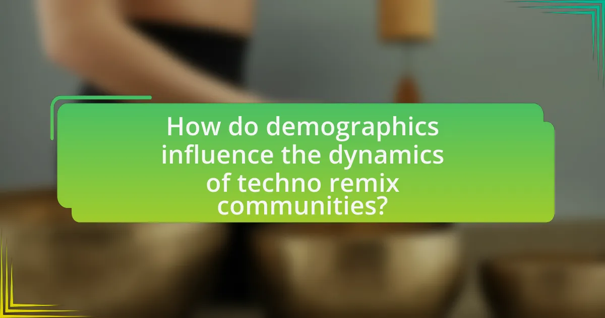 How do demographics influence the dynamics of techno remix communities?