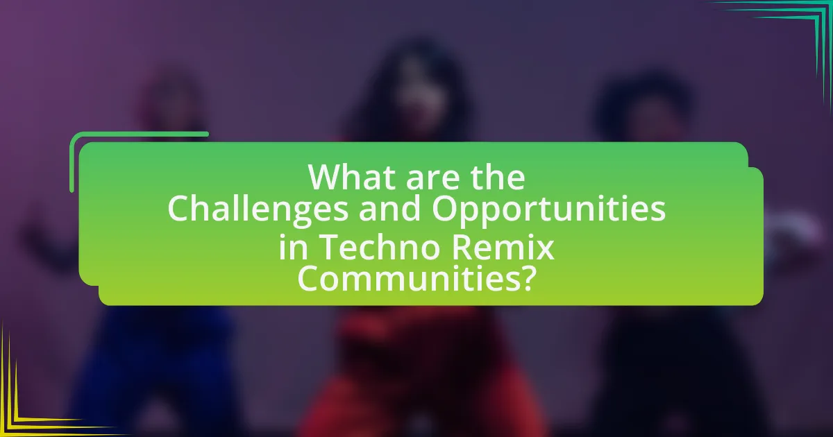What are the Challenges and Opportunities in Techno Remix Communities?
