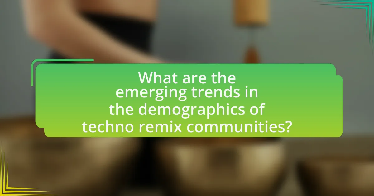 What are the emerging trends in the demographics of techno remix communities?