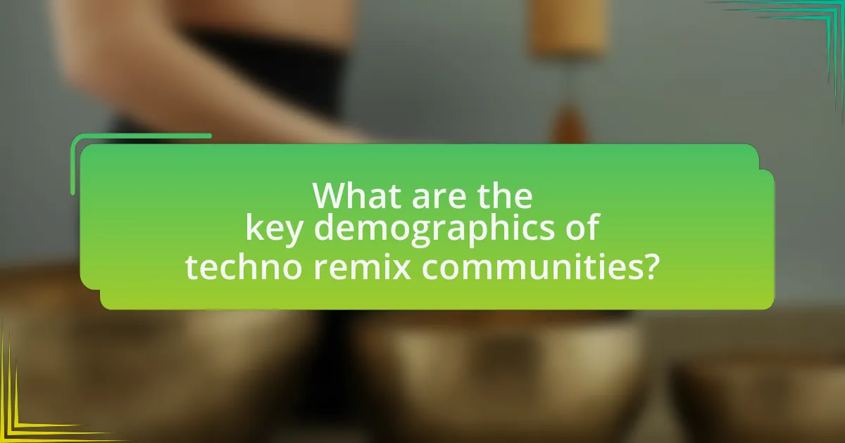 What are the key demographics of techno remix communities?